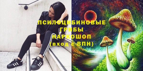кокаин колумбия Новозыбков