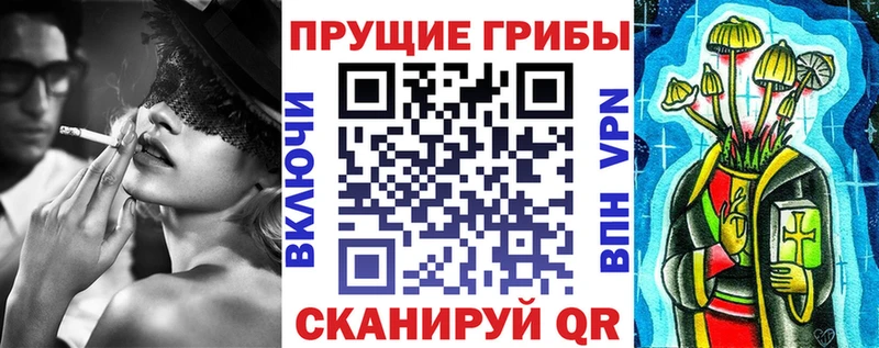 Псилоцибиновые грибы мицелий Купить закладки Дальнегорск